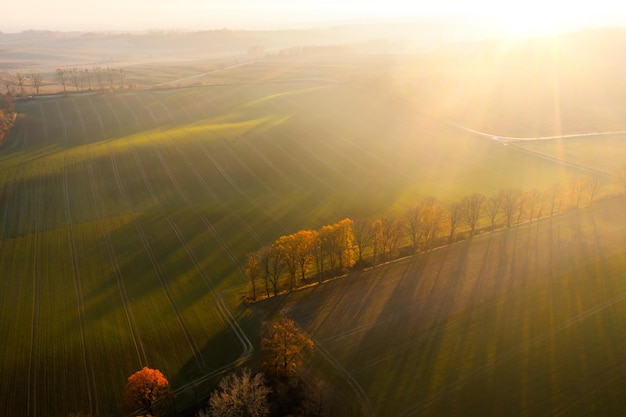 祖传的一级文物能卖吗